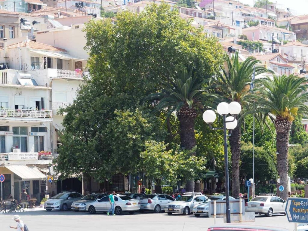 Getting Around Plomari and South Lesvos