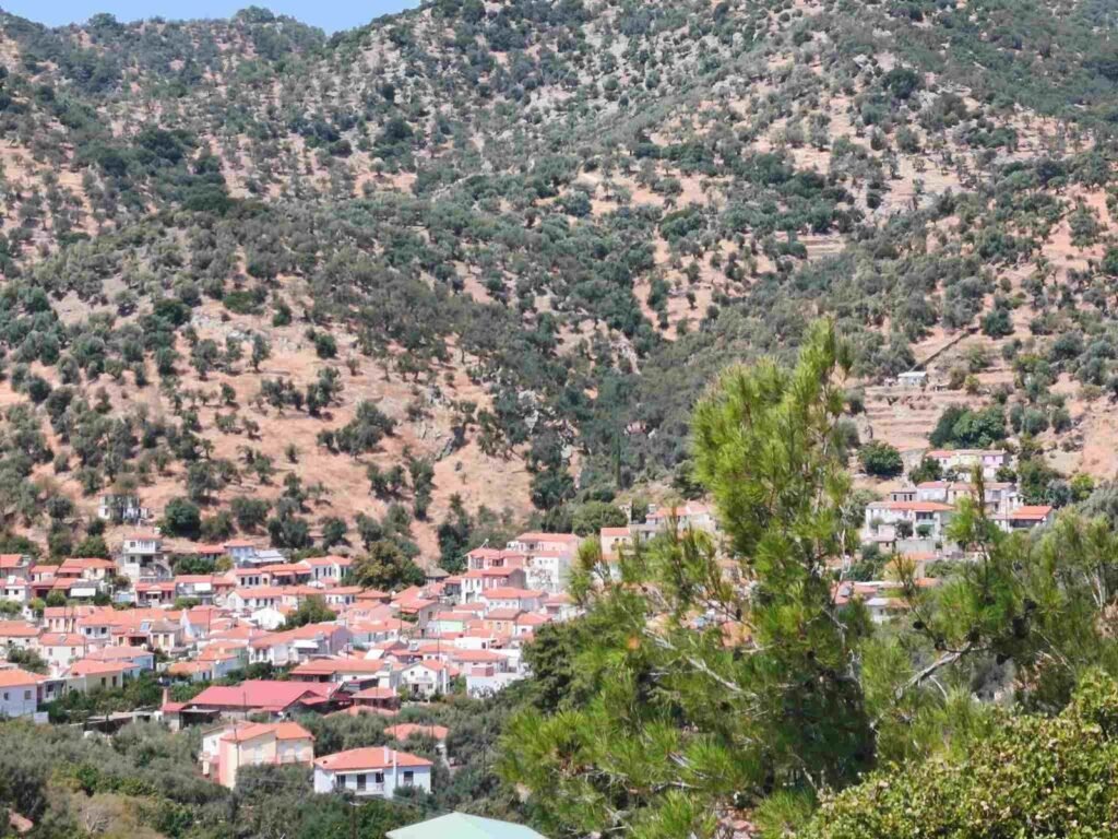 Trygonas